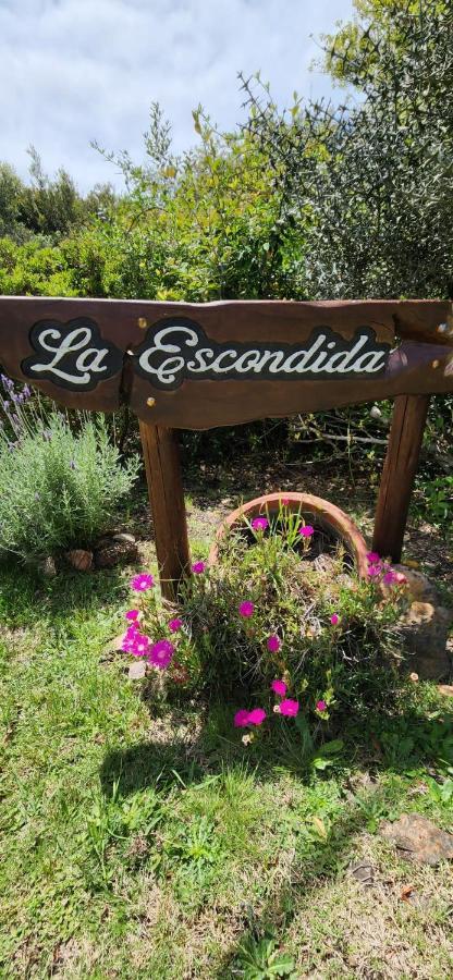 塞拉纳镇La Escondida别墅 外观 照片